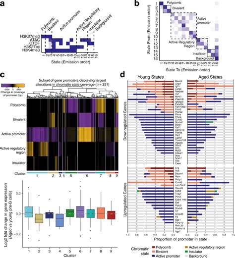 Integrated Chromatin State Analysis In Pre B Cells Identifies