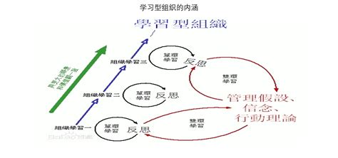 学习型组织建设tlo才博咨询肇庆有限公司