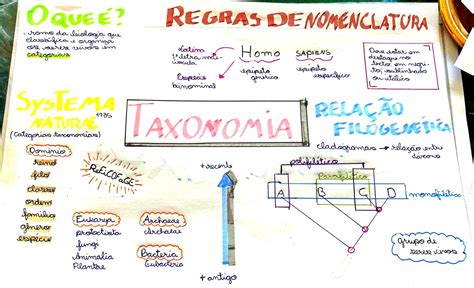 MAPA MENTAL SOBRE TAXONOMIA Maps4Study