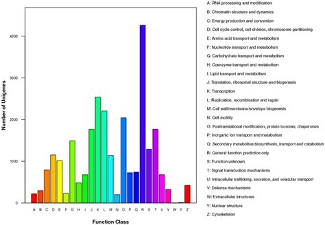 Cog Functional Classification Of Unigenes A Total Of Assembled