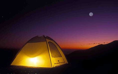 The Dunes Camping and Safari: Location, Packages & More - MyBayut