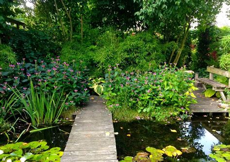 Comment Cr Er Et Entretenir Une Mare Naturelle Dans Son Jardin