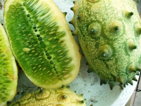 African Horned Kiwano Cucumber Seeds Sale Here Online Australia