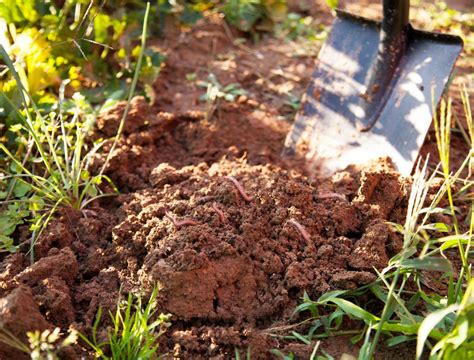 Why Should You Add Topsoil To A Compost Pile Backyard Boss