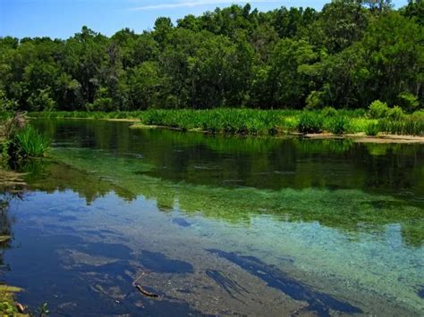 Ichetucknee Springs State Park - Tubing, Swimming, Camping and more!