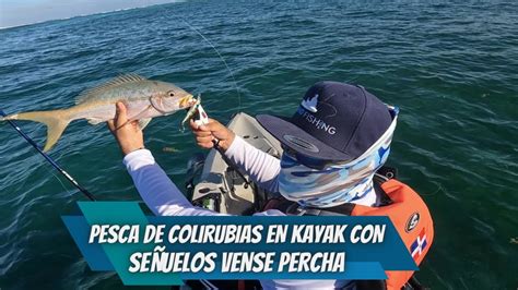 Pesca de colirubias con señuelo VENSE PERCHA YouTube