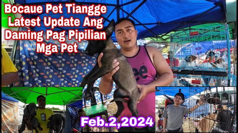 Latest Update Sa Bocaue Pet Tiangge Ang Daming PagPipilian Feb 2 2024