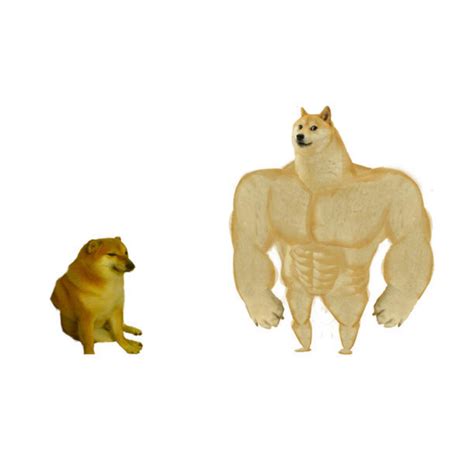 Buff Doge vs. Cheems Blank Template - Imgflip