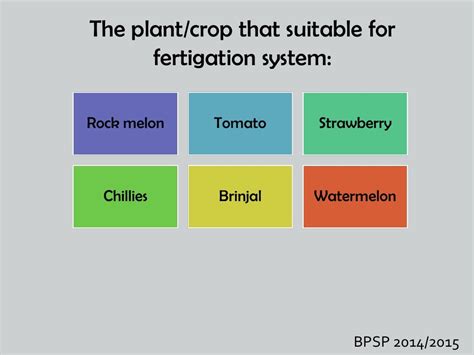 Fertigation system