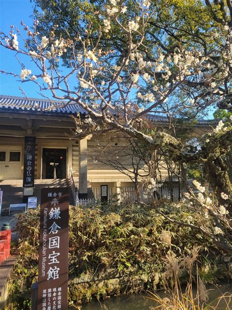 鎌倉ひとり旅今年4回目③鎌倉国宝館、国宝鶴岡八幡宮「古神宝」開催中 鎌倉・横浜、時々都内をひとり旅