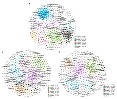 Figure Soil Molecular Ecological Network At Diierent Sites Soil