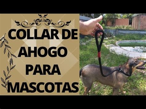 Lazo Para Perros Collar De Ahogo Para Perros Mascotas Talabarteria