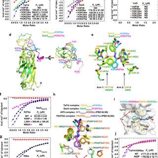 The Structural Basis For H K Bz Recognition By Hst A The Overall