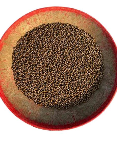 floating fish feed packaging size  kg  rs kg  ramgarh id