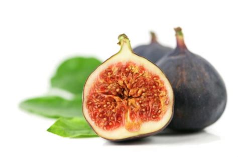 Ultimate Guide To Brown Turkey Fig Steps To Growing Brown Turkey Figs