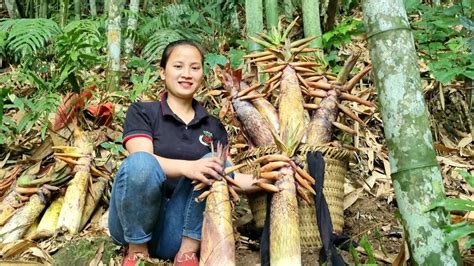 The Girl Harvested Giant Bamboo Shoots Brought Them To The Market To