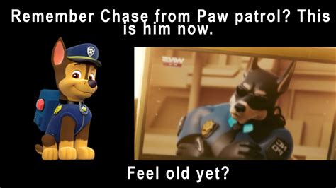 Chase from Paw Patrol : r/memes