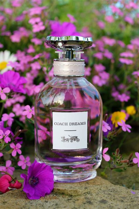 Coach Dreams Coach perfume - a fragrance for women 2020