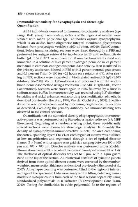 Synaptogenesis And Development Of Pyramidal Neuron Dendritic