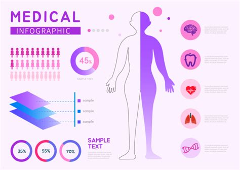 human body medical infographic illustration style purple poster eps