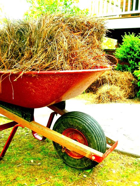 Wheelbarrow Outside Outdoor Free Photo On Pixabay Pixabay