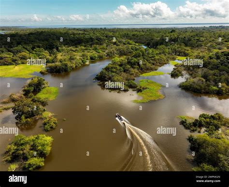 Amazon rainforest Brazil Stock Photo - Alamy