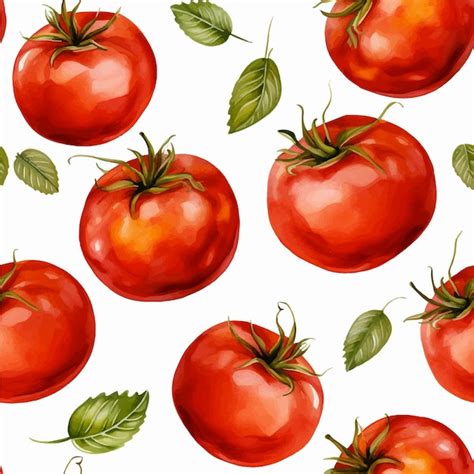 Vetor De Padr O Sem Costura Em Aquarela De Tomate Vetor Premium