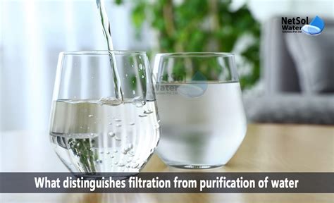 distinguishes filtration  purification  water