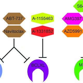 BCL-2 Family inhibitors and their targets. Venetoclax (ABT-199) is a... | Download Scientific ...