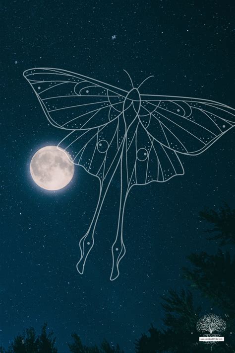 Spiritual Symbolism of the Luna Moth - The Latest in Spirituality, Mythology & Rituals | Sacred ...