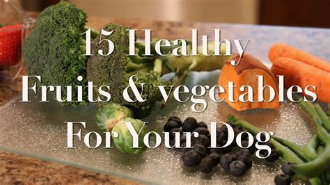 15 Fruits And Vegetables You Can Feed Your Dog Youtube