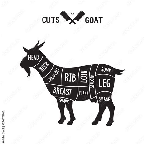 Meat Cuts Goat Diagrams For Butcher Shop Scheme Of Goat Animal