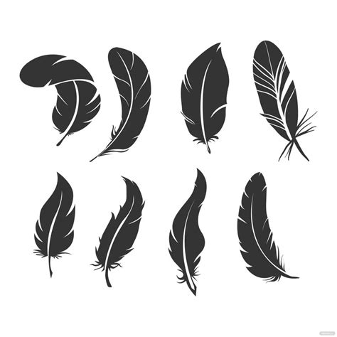 Bird Feather Vector in Illustrator, JPG, SVG, EPS, PNG - Download ...