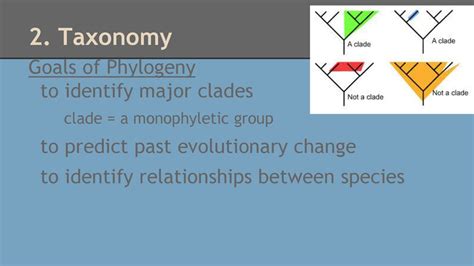 Classification And Taxonomy Ppt Download