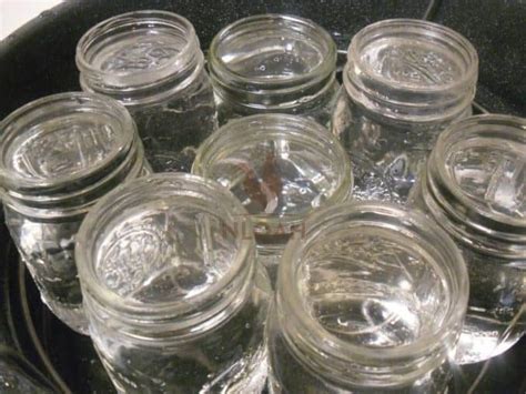 Canning Jar Sterilization Methods • New Life On A Homestead