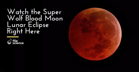 Watch The Super Wolf Blood Moon Lunar Eclipse Right Here FlipScience