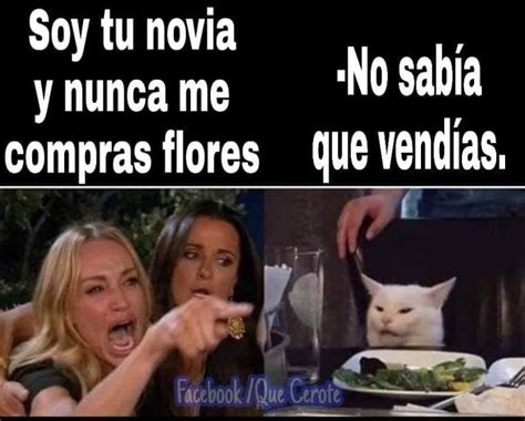 Este Meme Se Hace Viral La Mujer Y El Gato Colombia Noti America