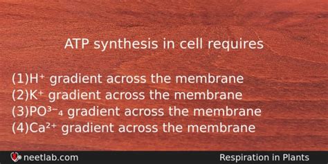 ATP synthesis in cell requires - NEETLab