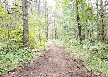 3 Best Hiking Trails in Kawartha Lakes, ON - ThreeBestRated