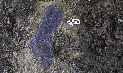 Oldest Human Footprints In North America Found On Calvert Island In