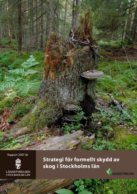 Strategi F R Formellt Skydd Av Skog I Stockholms L N L Nsstyrelsen