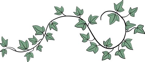 Free Simplicity Ivy Freehand Drawing Flat Design 17392116 PNG With