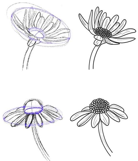 Draw A Daisy Flower With This Mind Blowingly Simple Tutorial Daisy