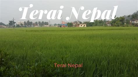 Nepal Terai Region Map