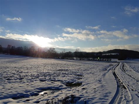 Urlaub Mit Hund Im Landkreis Vulkaneifel Outdooractive