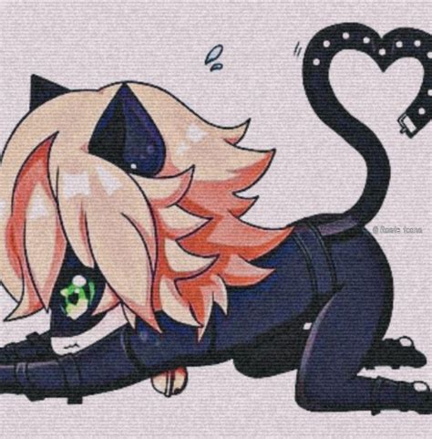 Pin de Soumyaฅ ﻌ ฅ em Miraculous ladybug Gatos Chat noir Anime