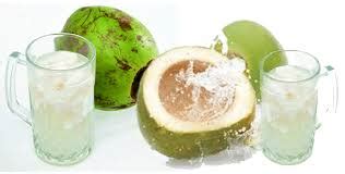 Khasiat Manfaat Air Kelapa Hijau untuk Kesehatan dan Obat Tradisional ...