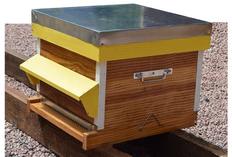 Vente De Ruches Dadant Cadres Avec Essaims D Abeilles Noires