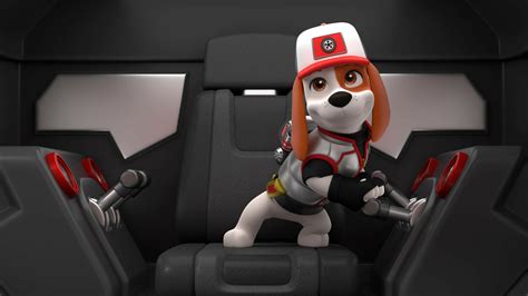 Ver PAW Patrol Patrulla De Cachorros Temporada 9 Episodio 10 PAW