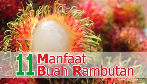 11 Manfaat Buah Rambutan Untuk Kesehatan Khasiat Sehat